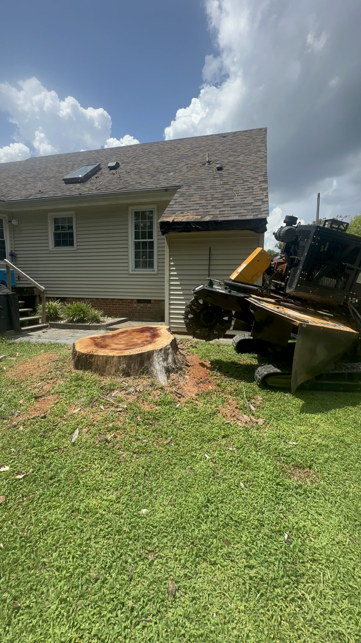 Stump grinding and stump removal service in Lillington NC