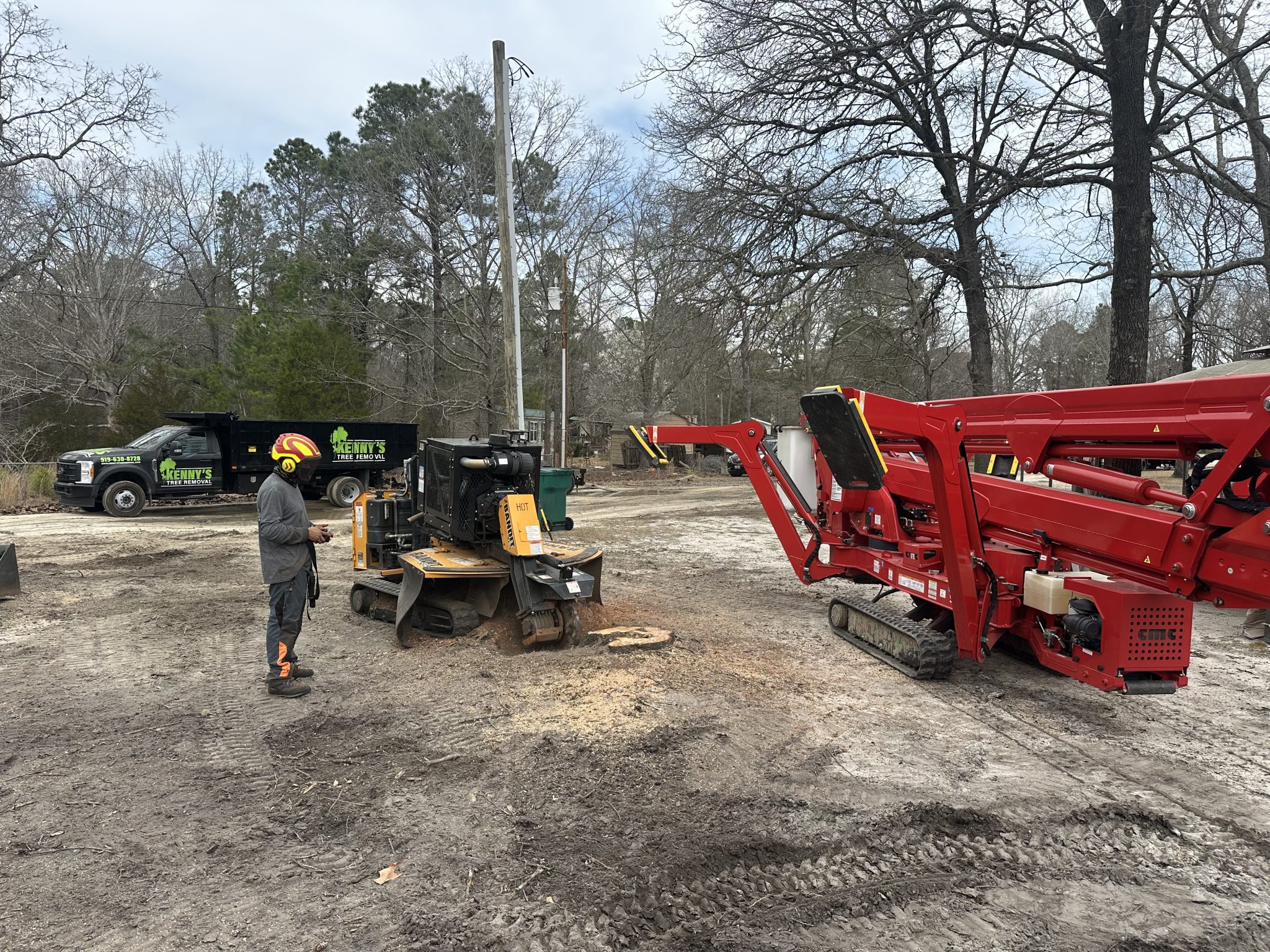 Tree removal and stump grinding project in Fuquay-Varina NC