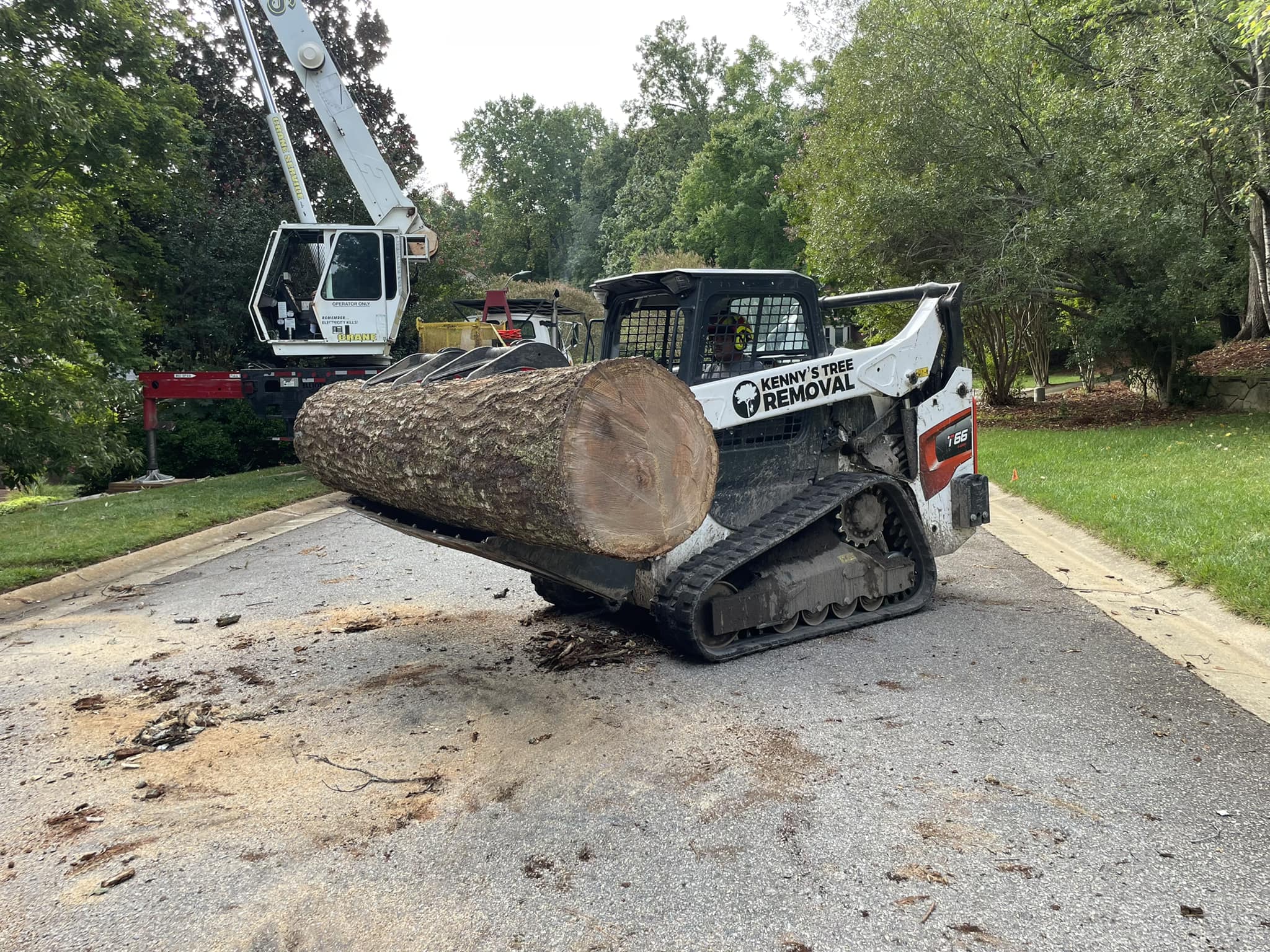 Tree removal service work in Dunn, NC
