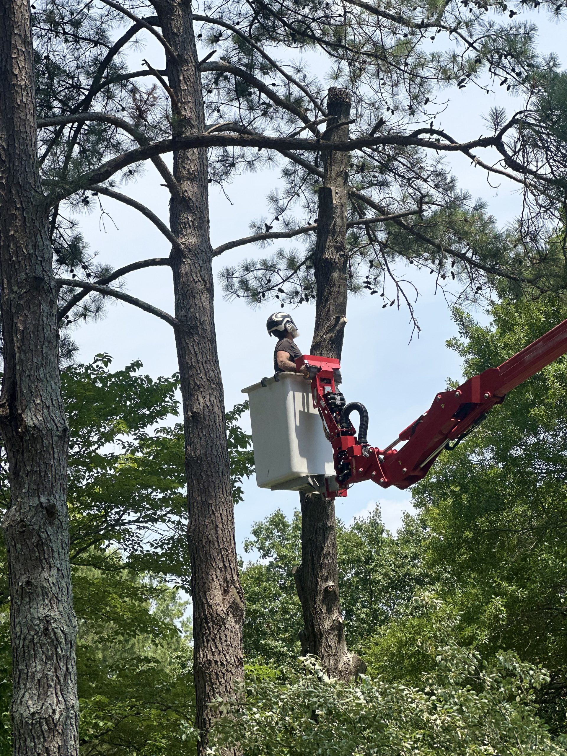 Kenny operating a red compact spider lift basket to complete a high-risk pine tree removal near a home structure