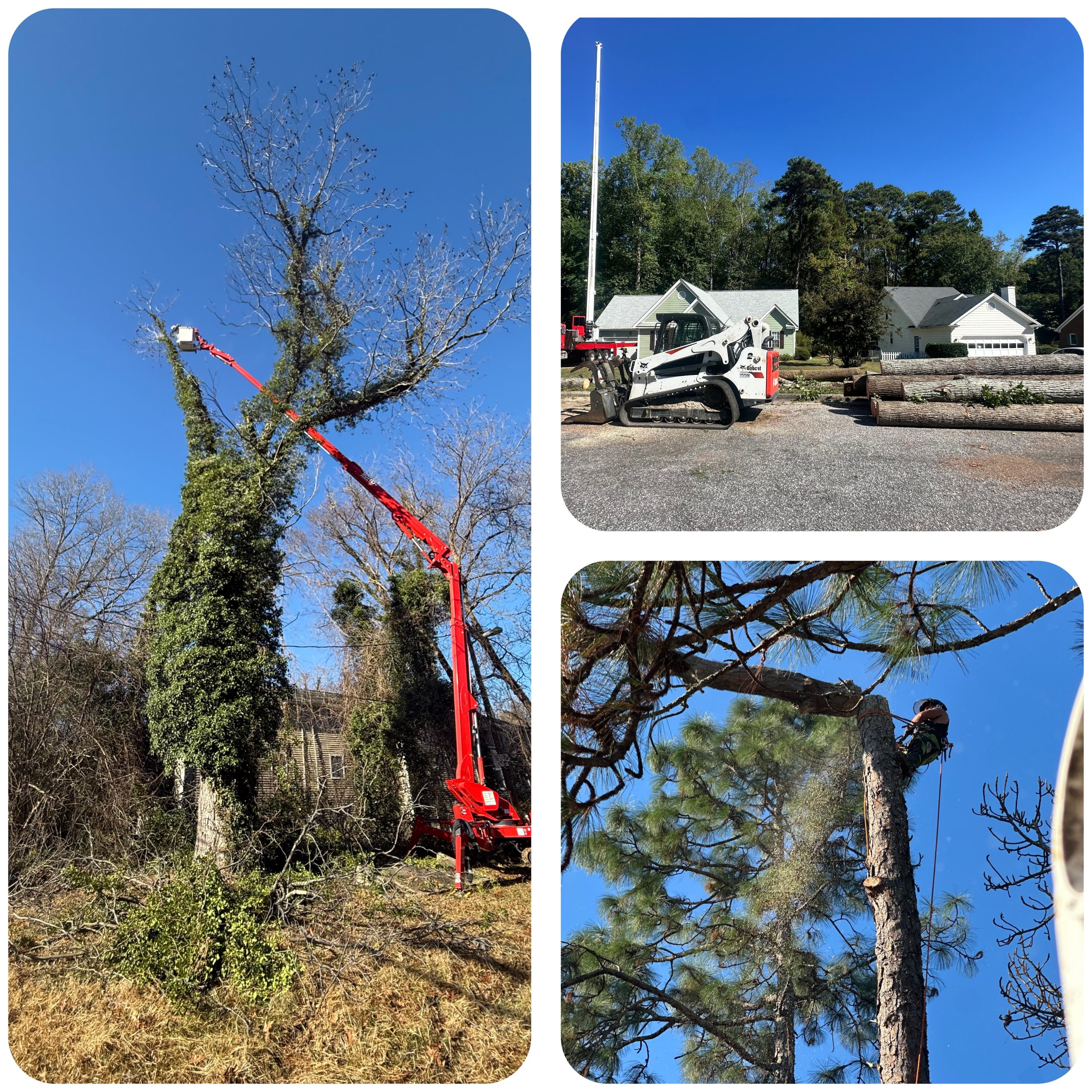Kenny's Tree Removal professional bucket truck and field crew performing high-access crane tree services in Fuquay-Varina