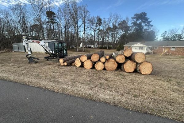 land clearing