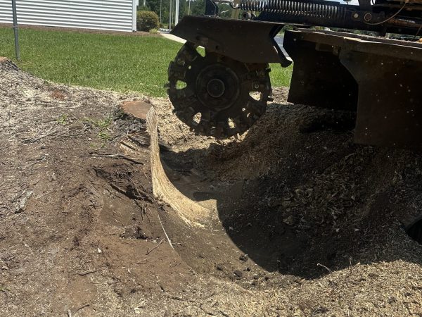 stump grinding depth by kenny's tree removal