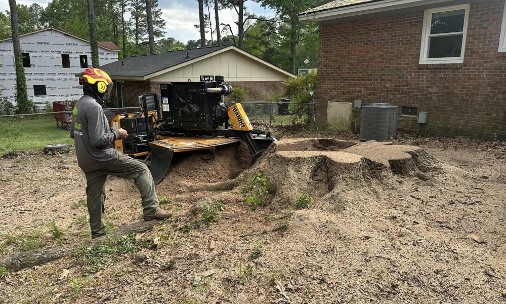 tree removal by arborist in Fuquay Varina