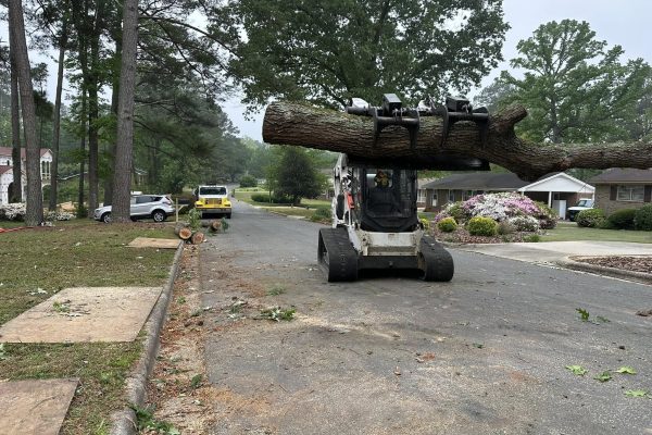 Professional tree removal in Fuquay-Varina - Kenny's Tree Removal safely removing a large tree.